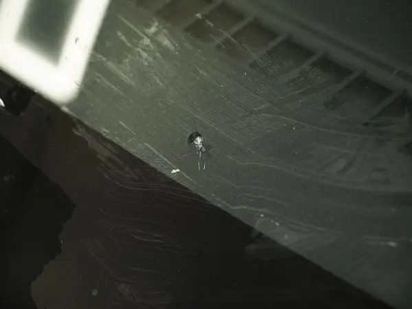 Скол на лобовом стекле с расходящейся микротрещиной, крупный план повреждения