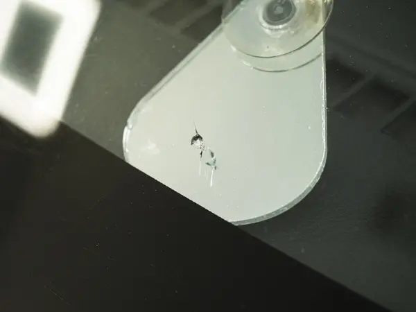 Скол с короткой трещиной на лобовом стекле рядом с зеркалом на присоске